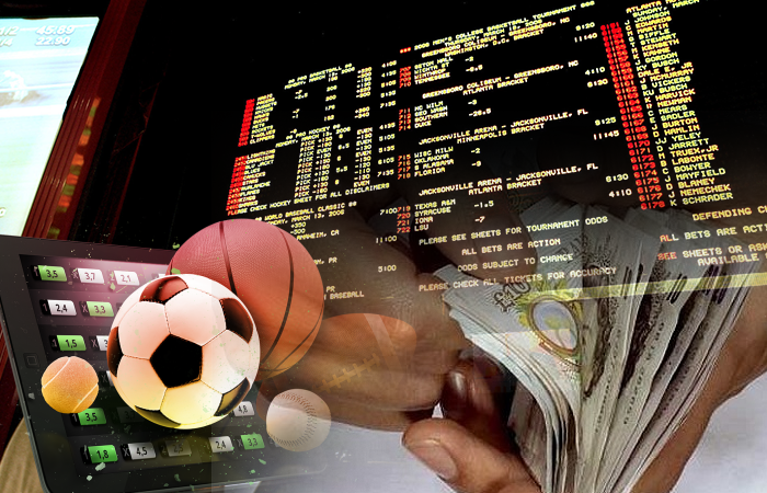 Bet on horse racing and enjoy thrilling race day action