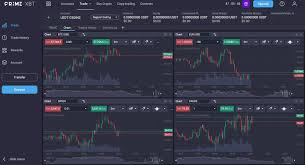 Discover the Potential of Trading with PrimeXBT Forex