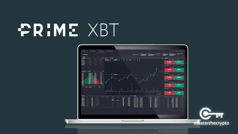 Discover the Potential of Trading with PrimeXBT Forex