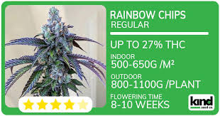 Exploring the World of Cannabis Seeds Alaska 0 Exploring the World of Cannabis Seeds Alaska 0